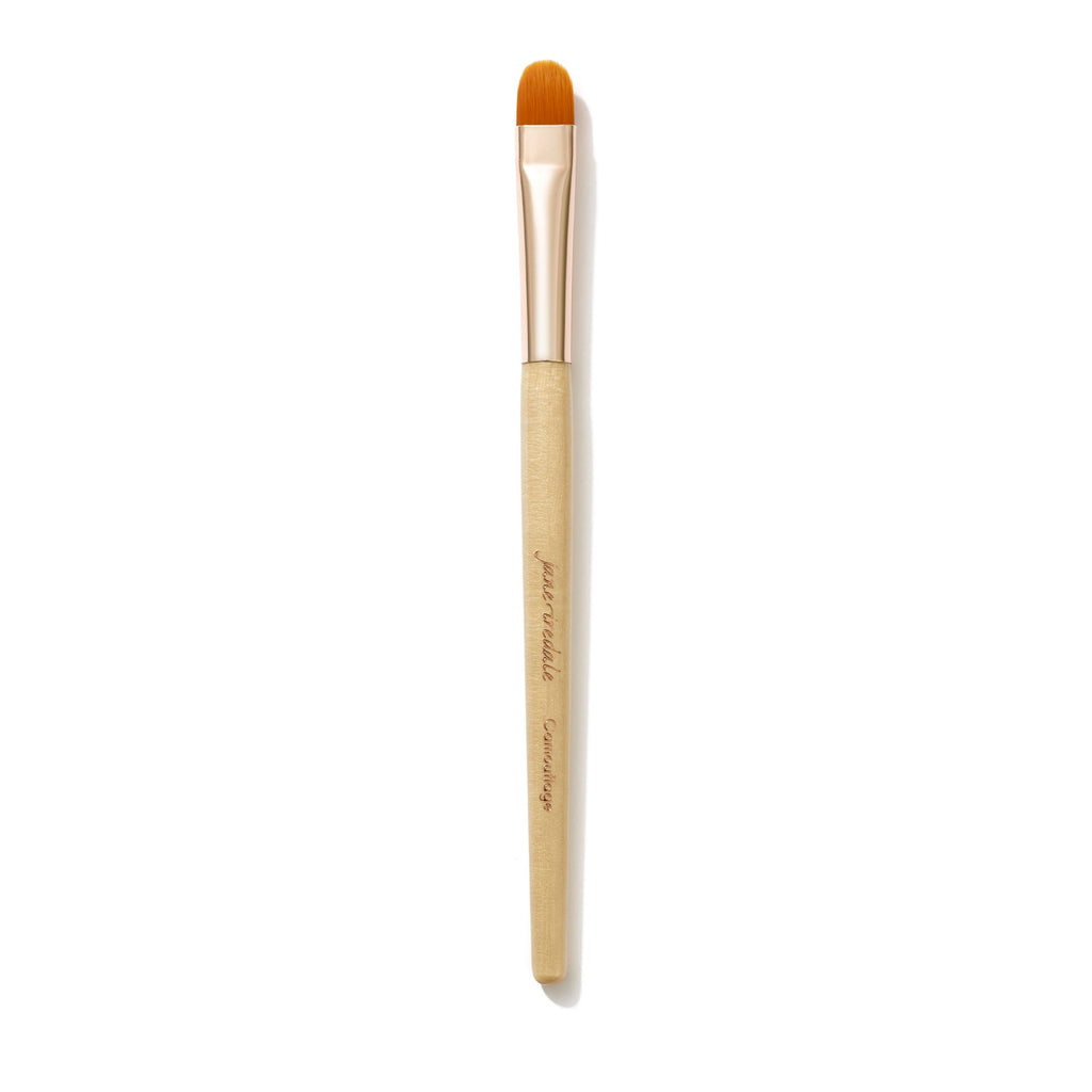 670959310507 - Jane Iredale Camouflage Brush