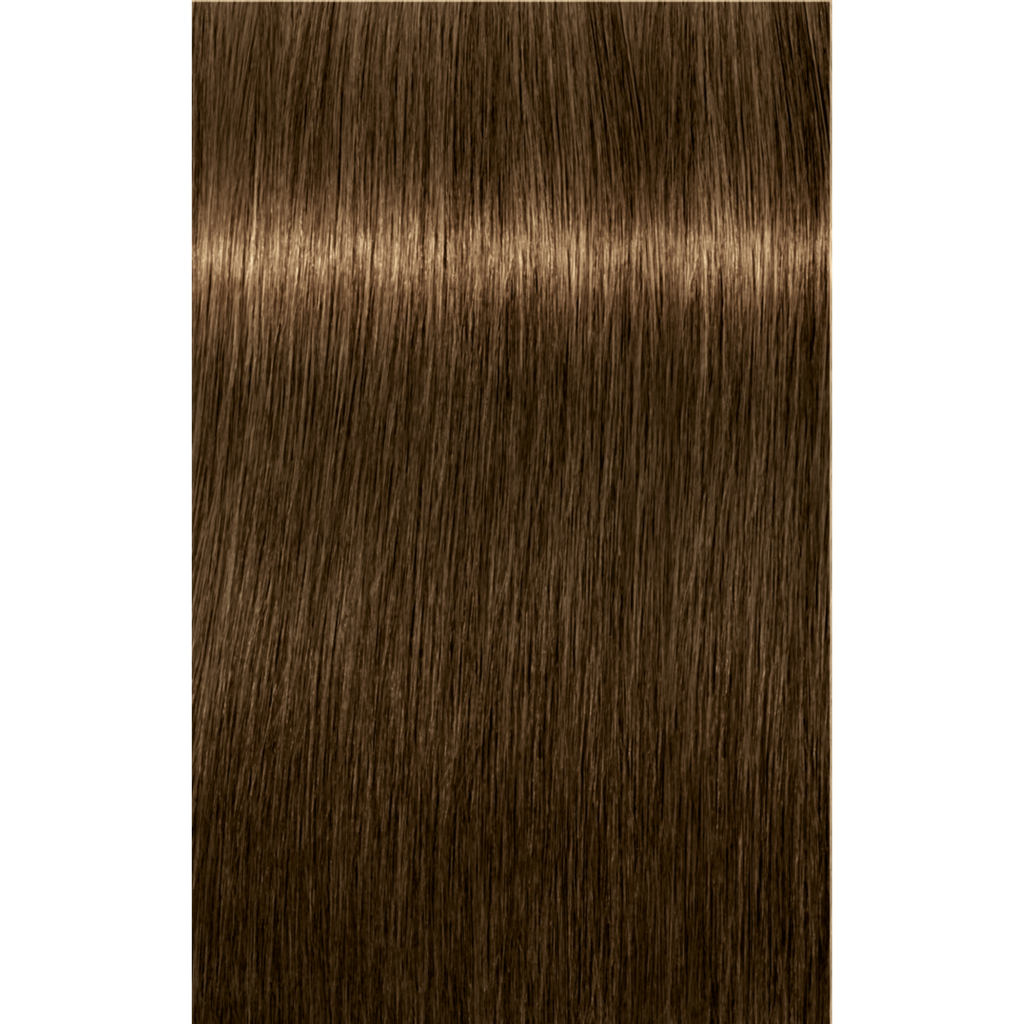 7702045538731 - Schwarzkopf IGORA ROYAL Permanent Color Creme 2.1 oz / 60 g - 6-4 Dark Blonde Beige