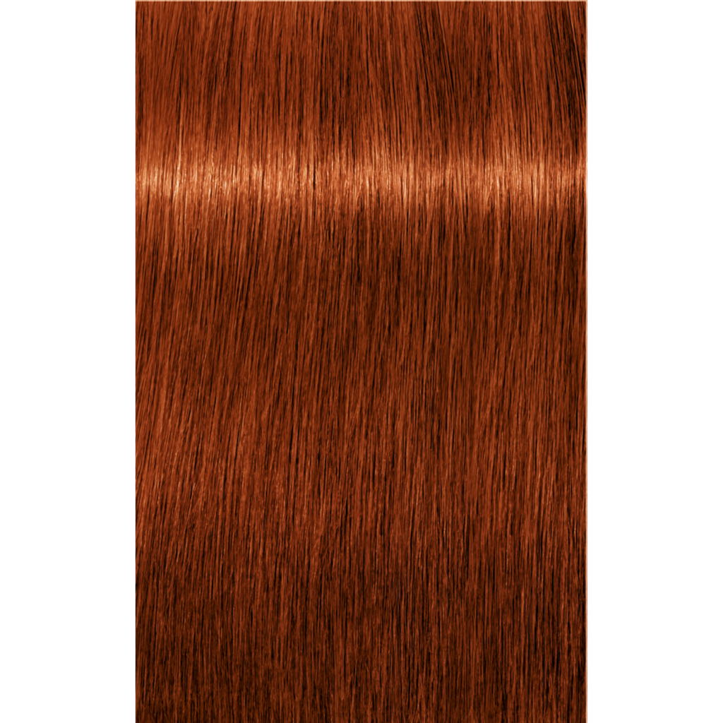 7702045538670 - Schwarzkopf IGORA ROYAL Permanent Color Creme 2.1 oz / 60 g - 6-77 Dark Blonde Copper Extra