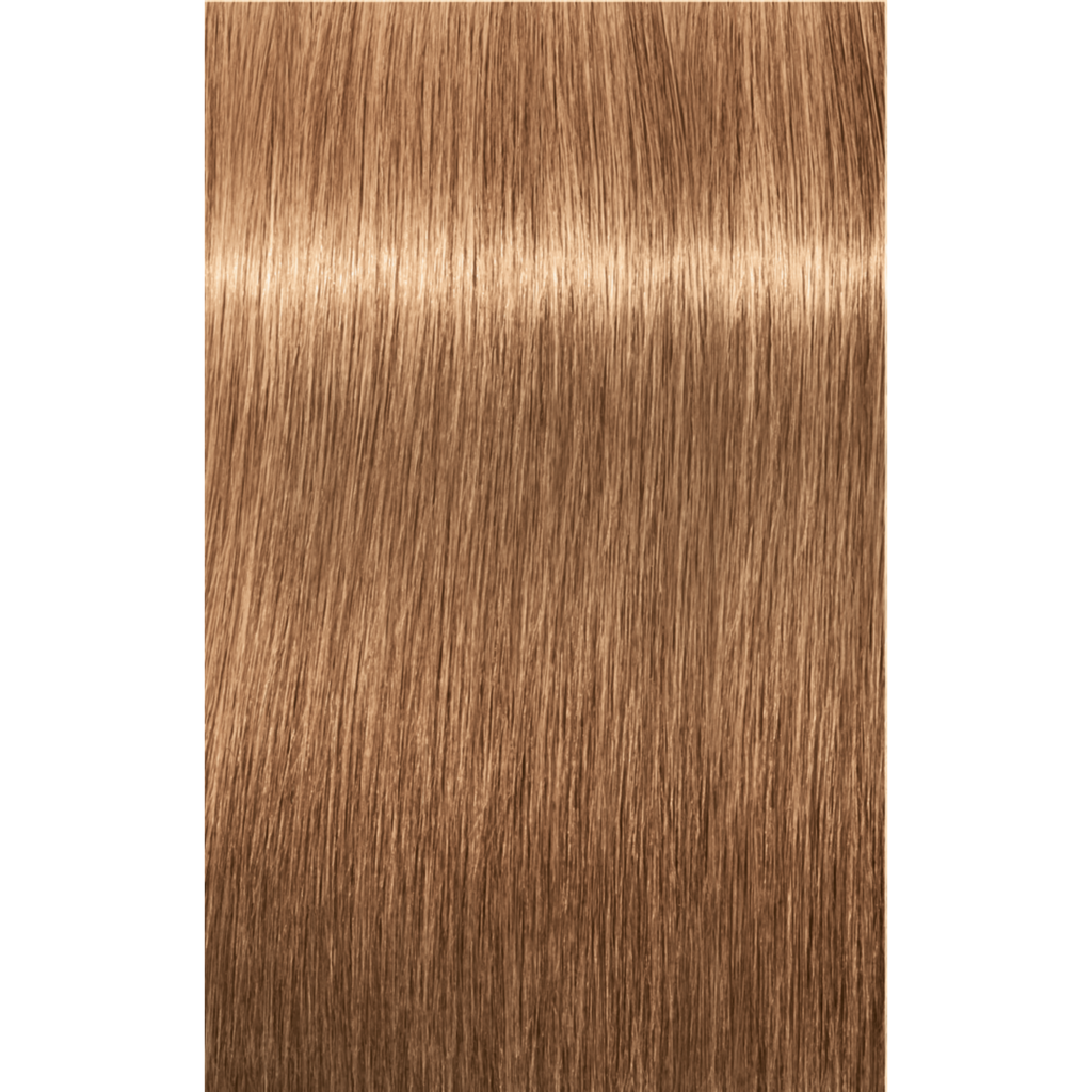 7702045538519 - Schwarzkopf IGORA ROYAL Permanent Color Creme 2.1 oz / 60 g - 8-65 Light Blonde Chocolate Gold
