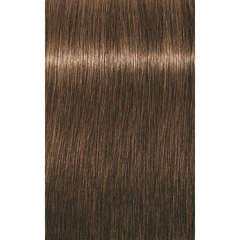 7702045549003 - Schwarzkopf IGORA ROYAL ABSOLUTES Permanent Anti-Age Color 2.1 oz / 60 g - 6-07 Dark Blonde Natural Copper