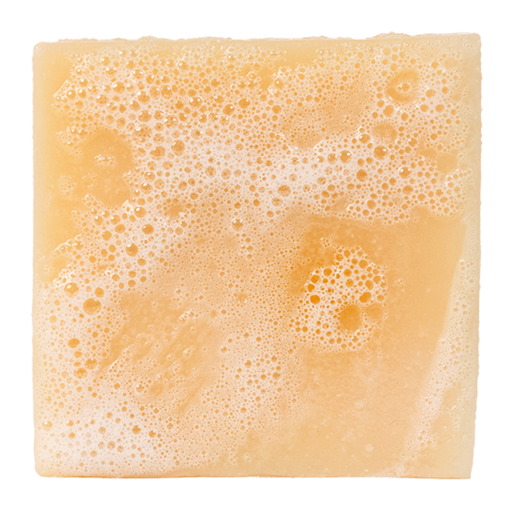851817007696 - Dr. Squatch Men's All Natural Bar Soap 5 oz - Alpine Sage