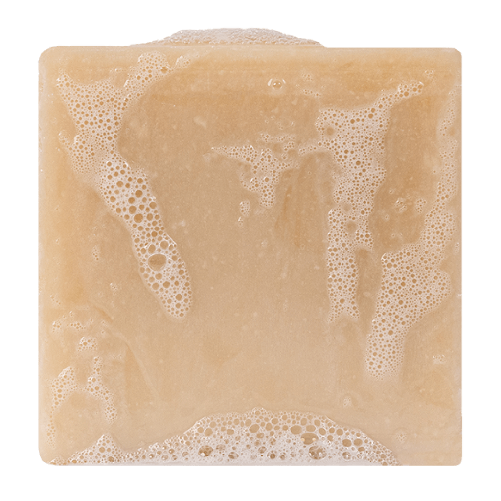 863765000025 - Dr. Squatch Men's All Natural Bar Soap 5 oz - Bay Rum | Zero Grit