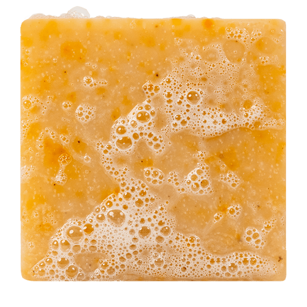 851817007153 - Dr. Squatch Men's All Natural Bar Soap 5 oz - Grapefruit IPA | Zero Grit