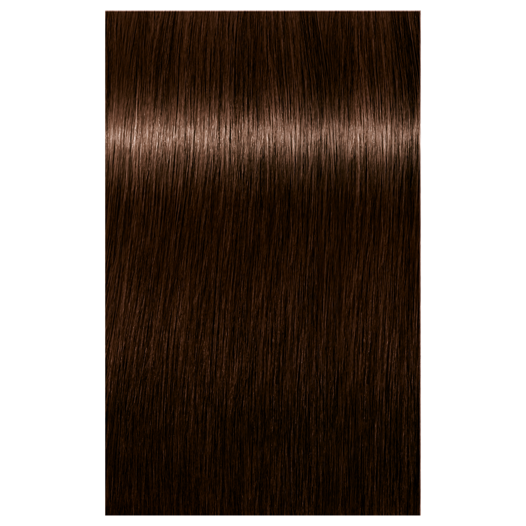 7702045548891 - Schwarzkopf IGORA ROYAL ABSOLUTES Permanent Anti-Age Color 2.1 oz / 60 g - 4-60 Medium Brown Chocolate Natural
