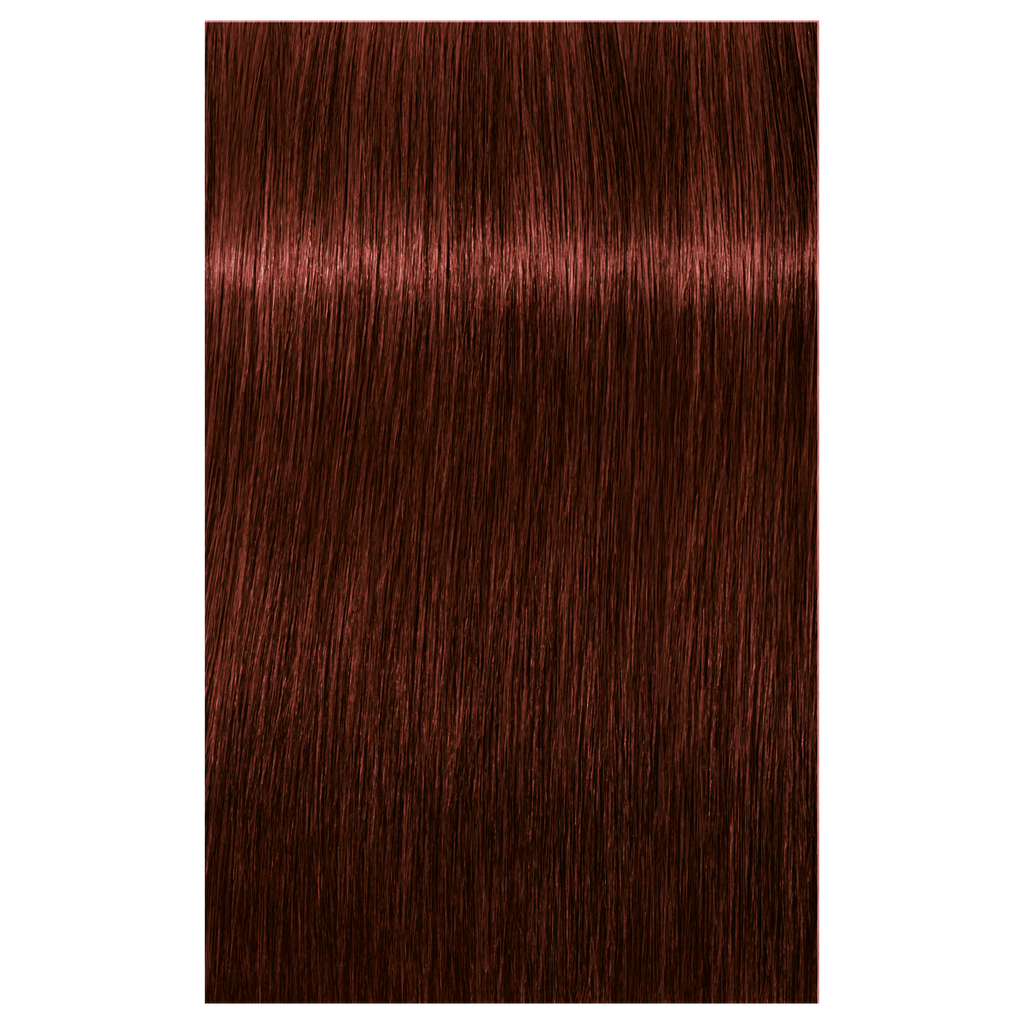 7702045548969 - Schwarzkopf IGORA ROYAL ABSOLUTES Permanent Anti-Age Color 2.1 oz / 60 g - 5-80 Light Brown Red Natural