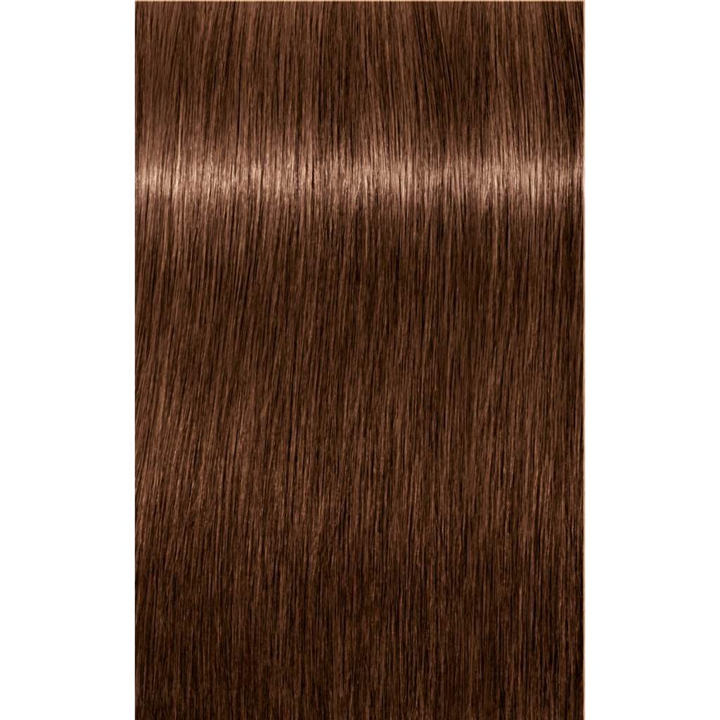7702045538717 - Schwarzkopf IGORA ROYAL Permanent Color Creme 2.1 oz / 60 g - 6-6 Dark Blonde Chocolate