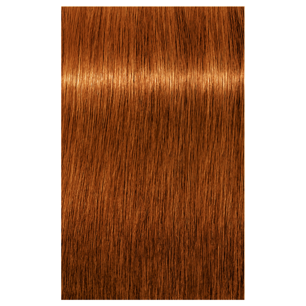 7702045548952 - Schwarzkopf IGORA ROYAL ABSOLUTES Permanent Anti-Age Color 2.1 oz / 60 g - 7-70 Medium Blonde Copper Natural