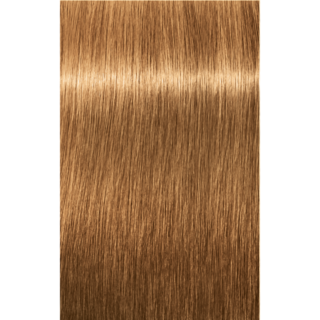 7702045538526 - Schwarzkopf IGORA ROYAL Permanent Color Creme 2.1 oz / 60 g - 8-55 Light Blonde Gold Extra
