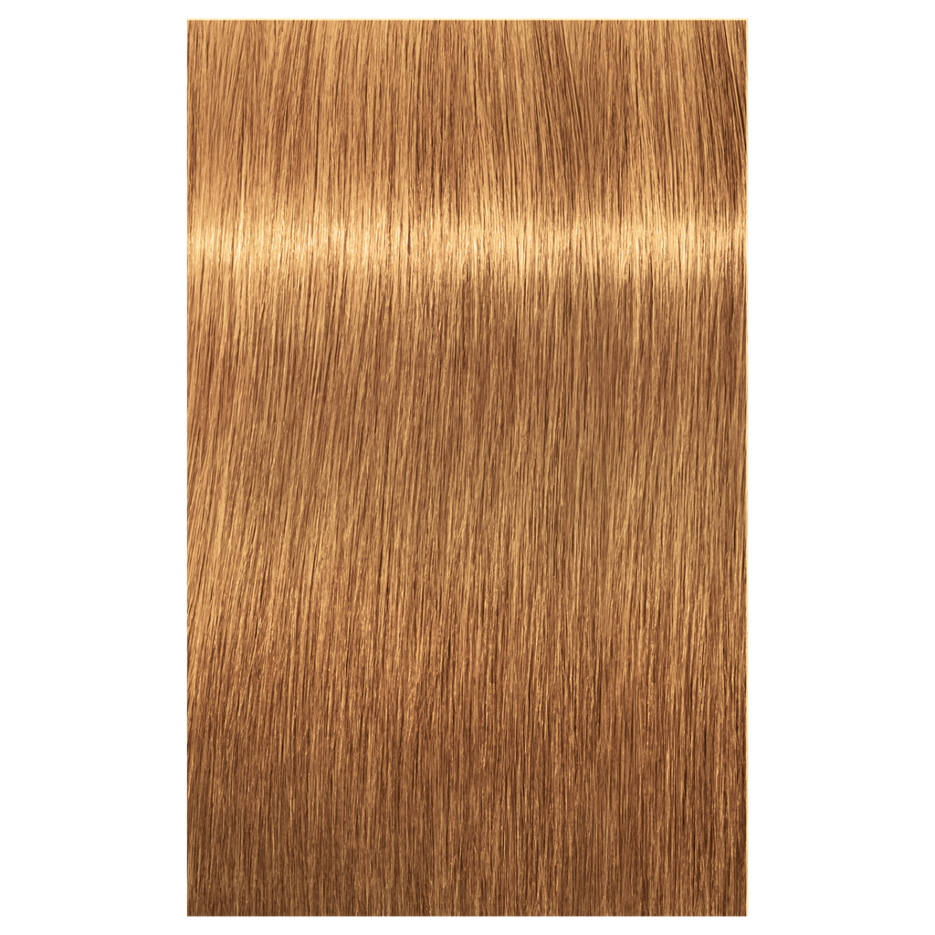 7702045548938 - Schwarzkopf IGORA ROYAL ABSOLUTES Permanent Anti-Age Color 2.1 oz / 60 g - 9-60 Extra Light Blonde Chocolate Natural