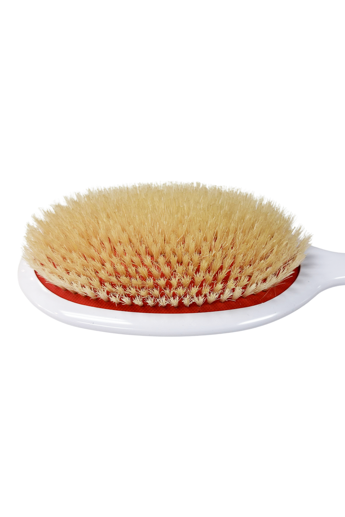 705320124701 - Elegant #998 PREMIUM Classic Cushion Soft Boar Bristles Oval Hair Brush - Large (9.25") | Fine to Normal Hair