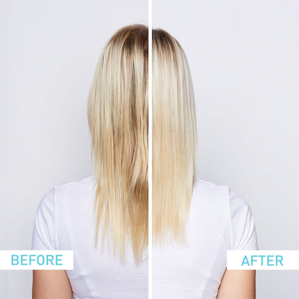 Pureology Strength Cure Best Blonde Shampoo 8.5 oz / 250 ml | For Color Treated Hair