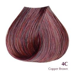 Copper - 4C Copper Brown - Satin Ultra Vivid Fashion Colors by Developlus 3 Oz - 857169021335